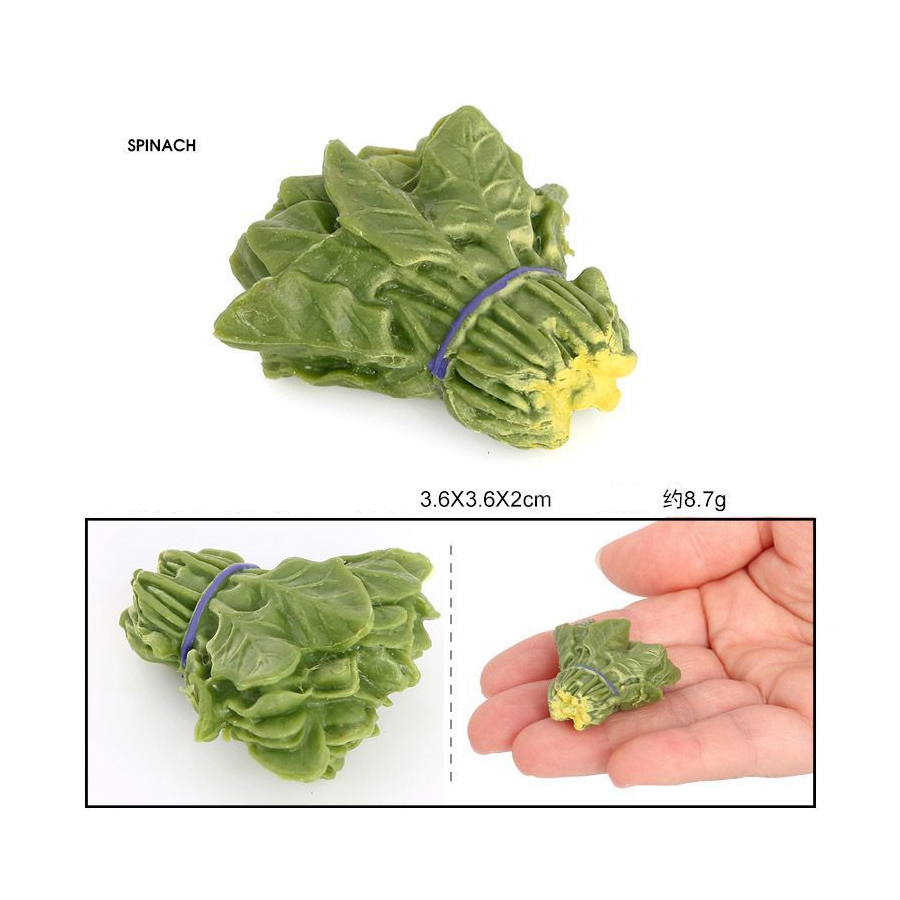 Realistyczne warzywa Model fig – Kids Education Picture recenzja i cena
