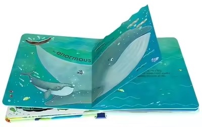 Usborne Podglądaj Wewnątrz: Mo – Kids Education Picture recenzja i cena