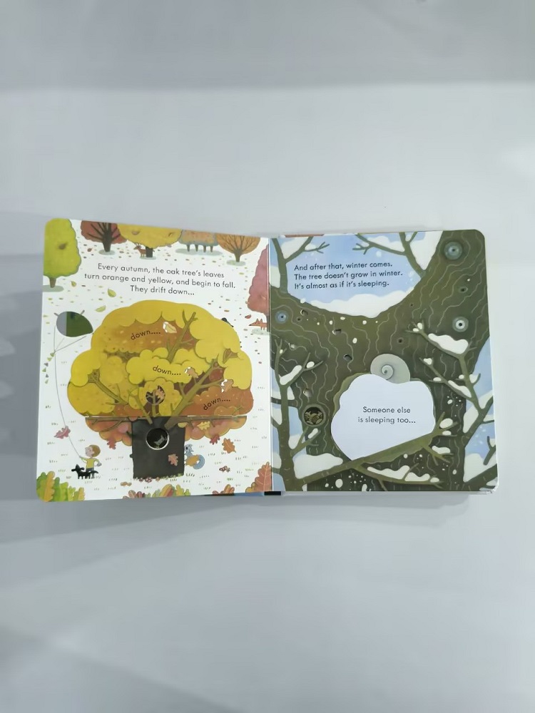 Usborne Podglądając wewnątrz d – Kids Education Picture recenzja i cena