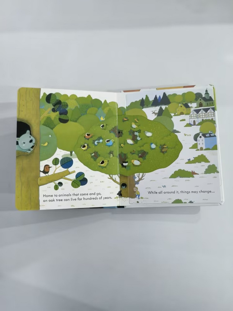 Usborne Podglądając wewnątrz d – Kids Education Picture recenzja i cena