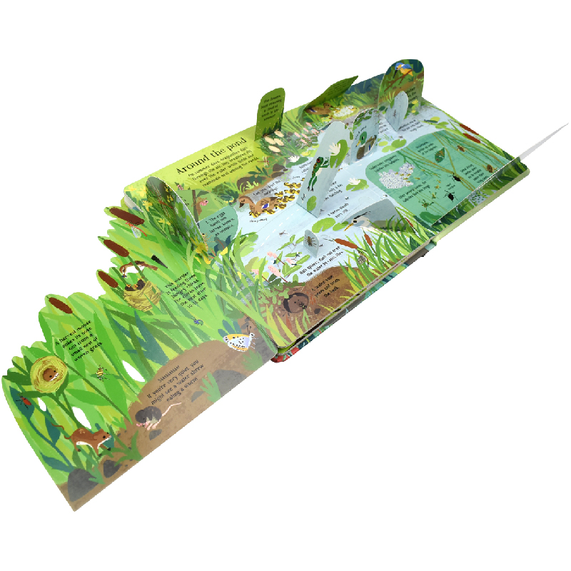 Montessori Angielski 3D Usborn – Kids Education Picture recenzja i cena